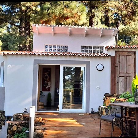 Casa Aguar: Acogedora Casa De Invitados En El Bosque Barrial エクステリア 写真