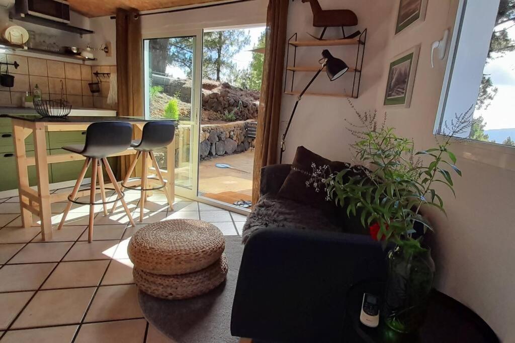 Casa Aguar: Acogedora Casa De Invitados En El Bosque Barrial エクステリア 写真