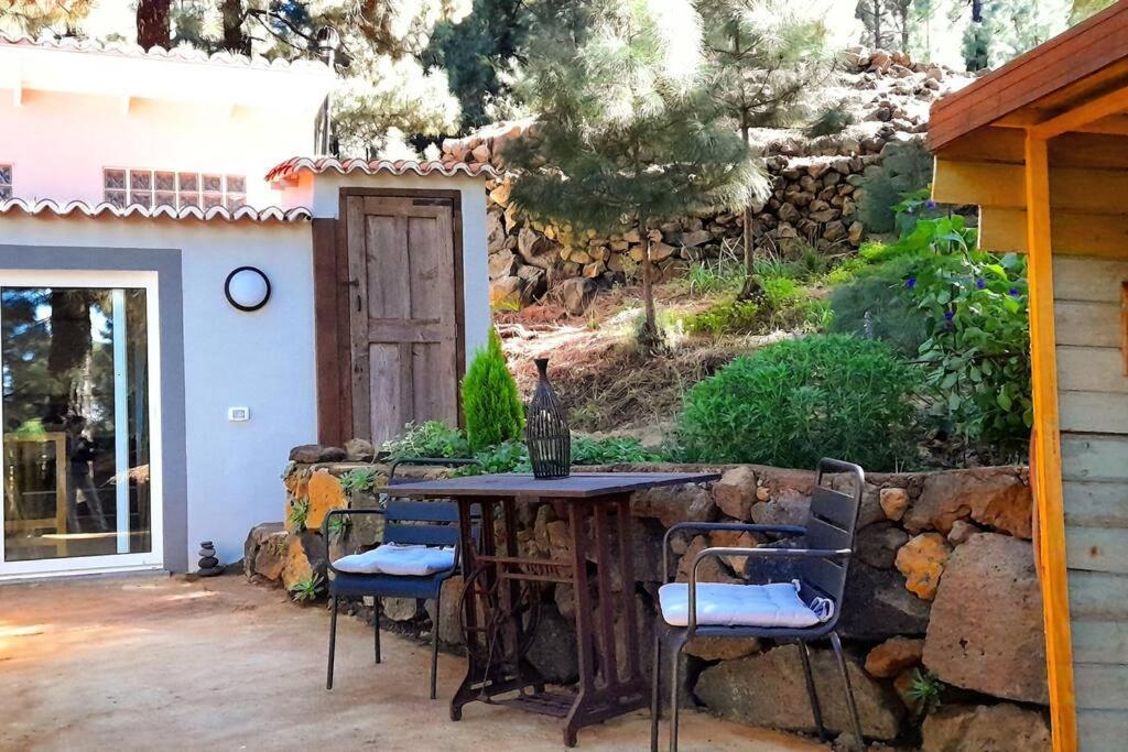 Casa Aguar: Acogedora Casa De Invitados En El Bosque Barrial エクステリア 写真