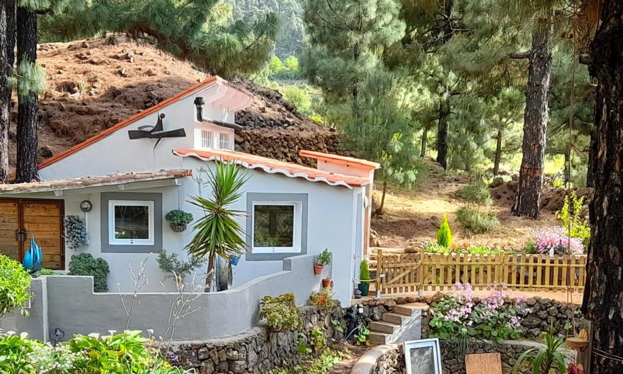 Casa Aguar: Acogedora Casa De Invitados En El Bosque Barrial エクステリア 写真