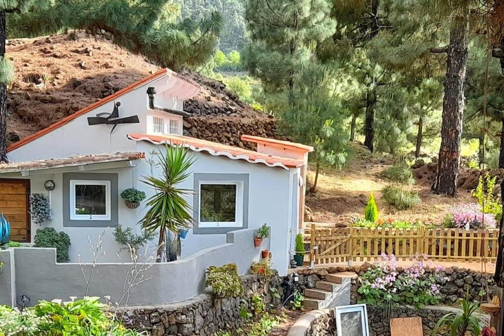 Casa Aguar: Acogedora Casa De Invitados En El Bosque Barrial エクステリア 写真