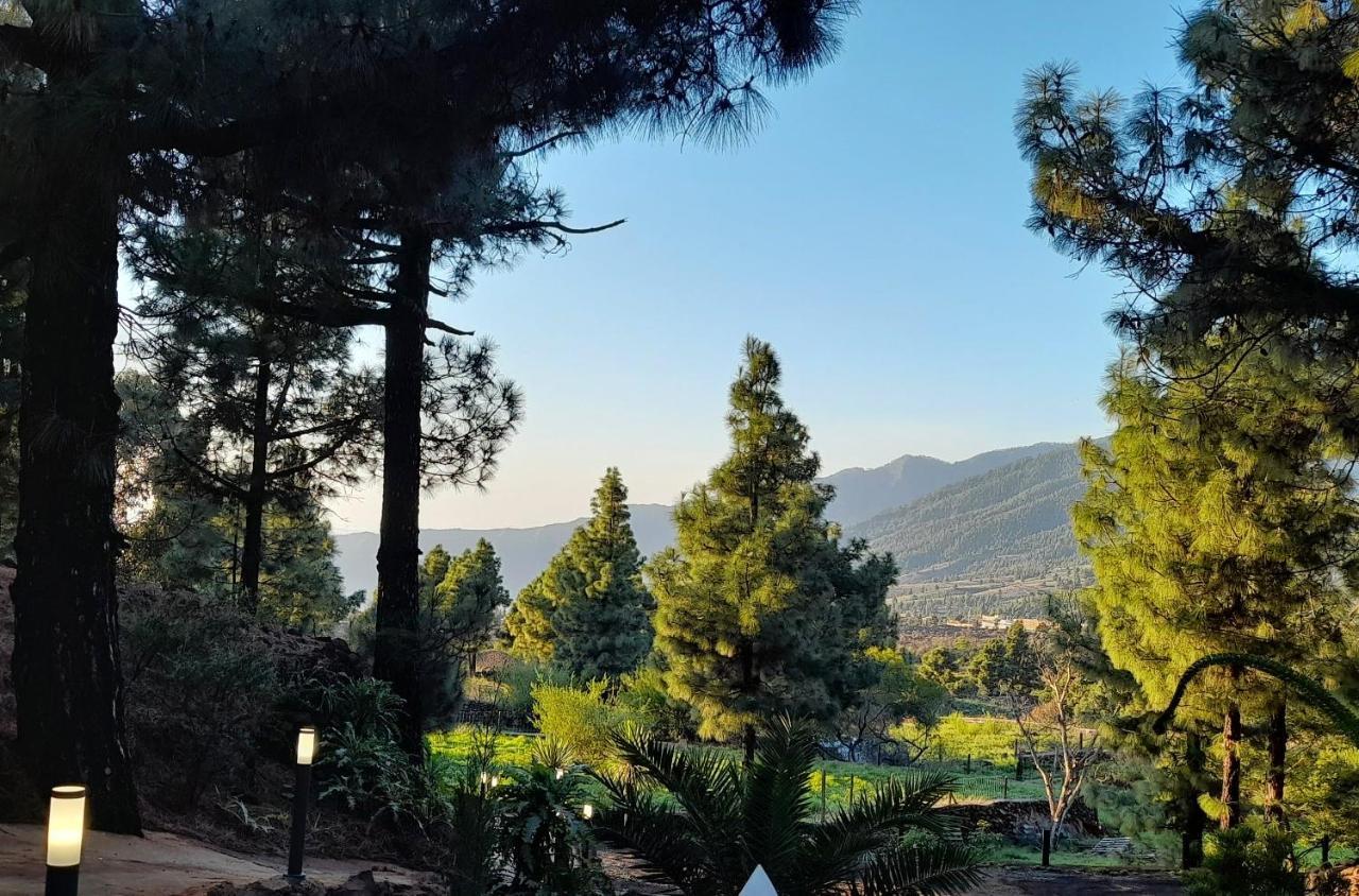 Casa Aguar: Acogedora Casa De Invitados En El Bosque Barrial エクステリア 写真