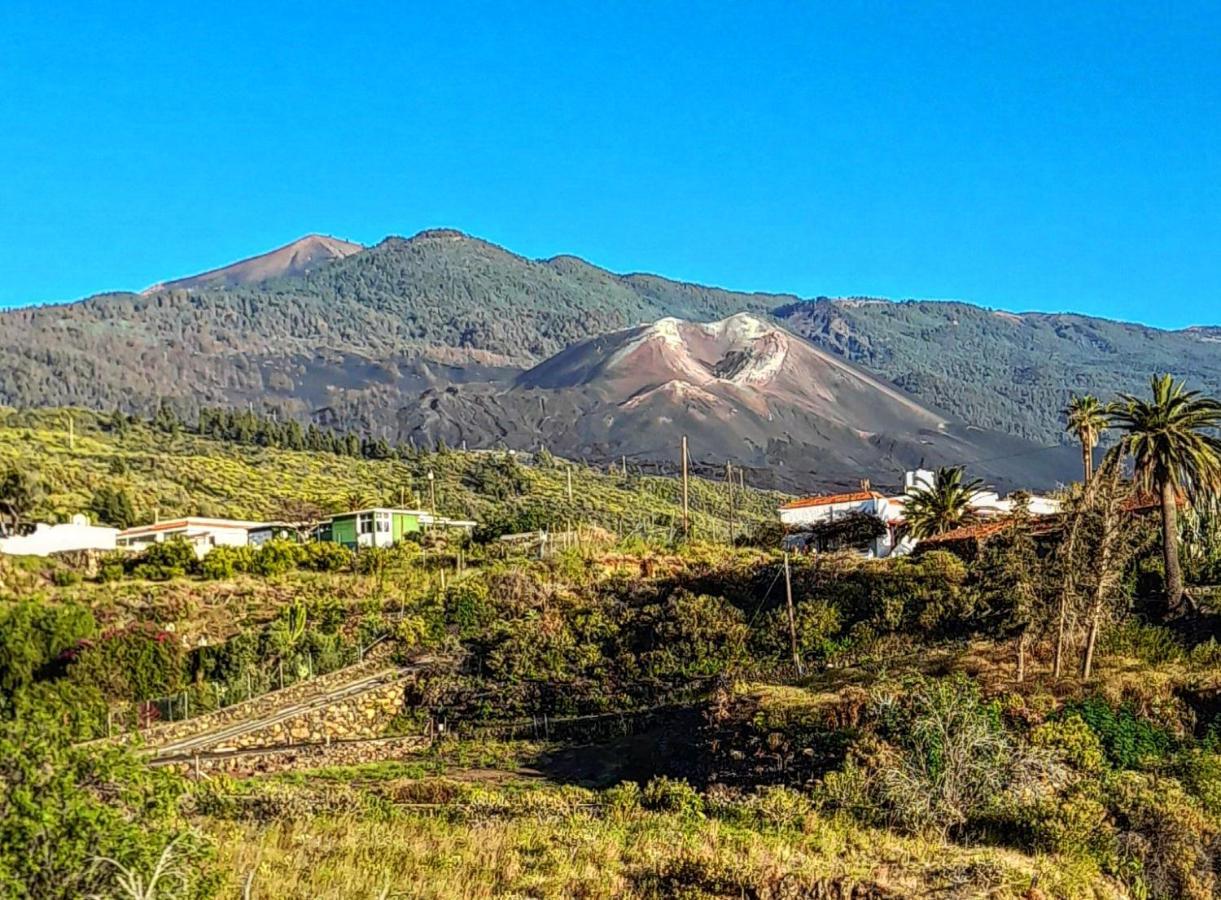 Casa Aguar: Acogedora Casa De Invitados En El Bosque Barrial エクステリア 写真
