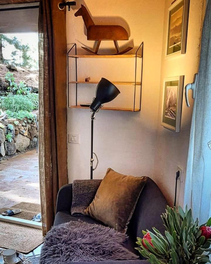 Casa Aguar: Acogedora Casa De Invitados En El Bosque Barrial エクステリア 写真
