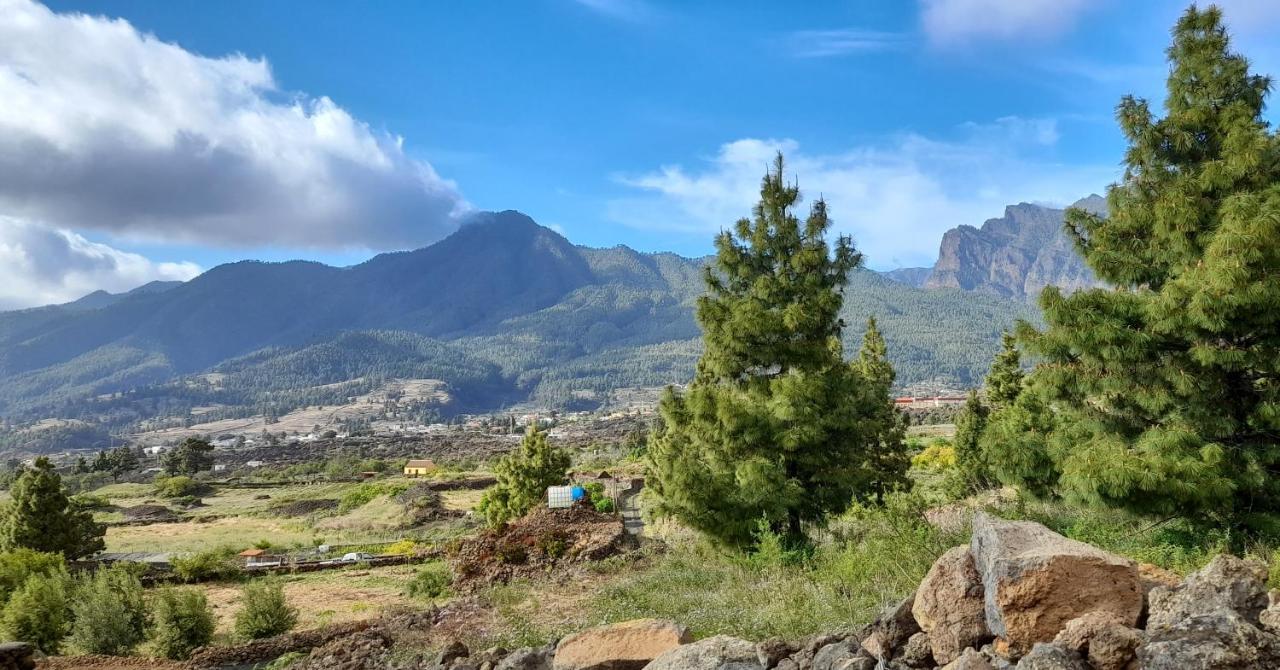 Casa Aguar: Acogedora Casa De Invitados En El Bosque Barrial エクステリア 写真