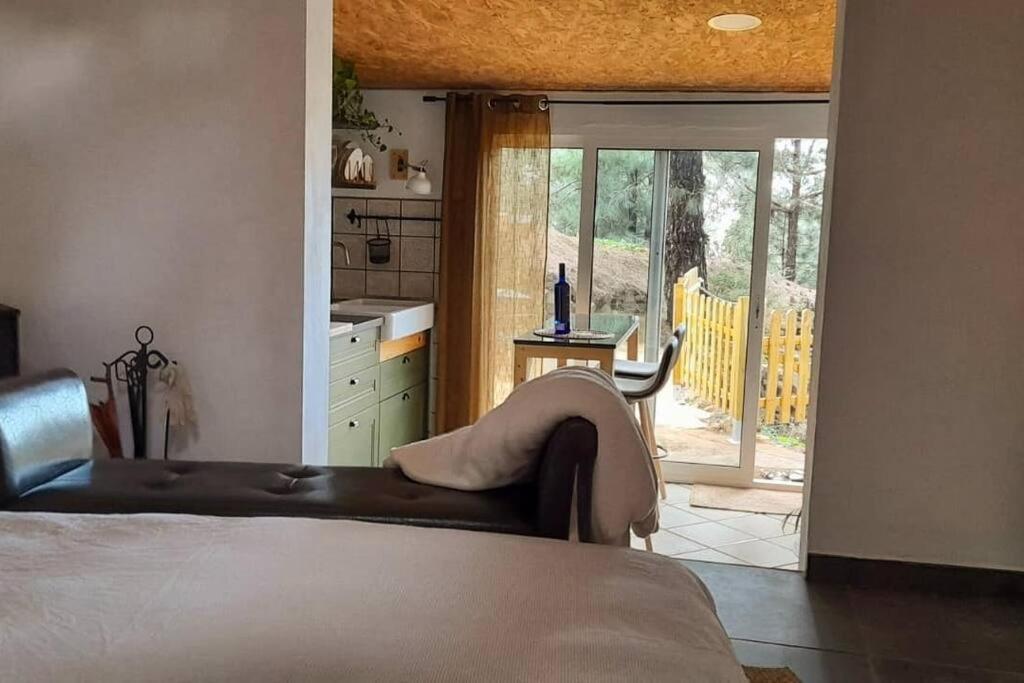 Casa Aguar: Acogedora Casa De Invitados En El Bosque Barrial エクステリア 写真