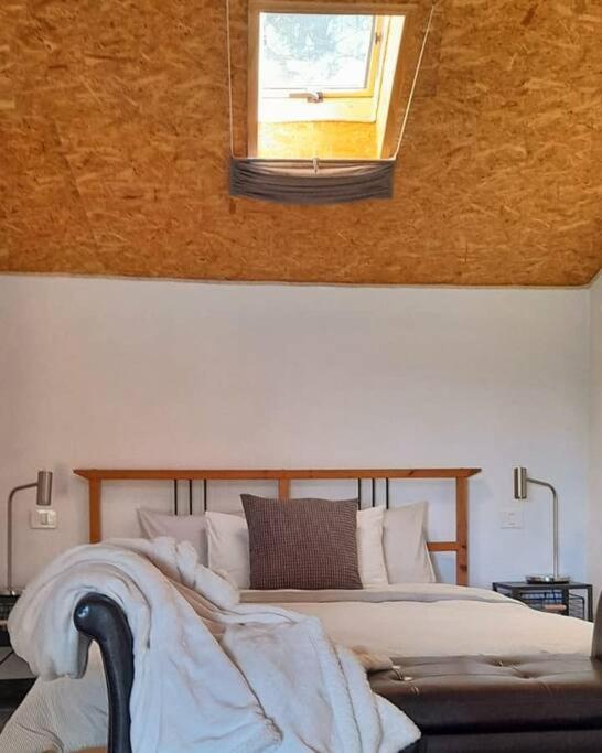 Casa Aguar: Acogedora Casa De Invitados En El Bosque Barrial エクステリア 写真