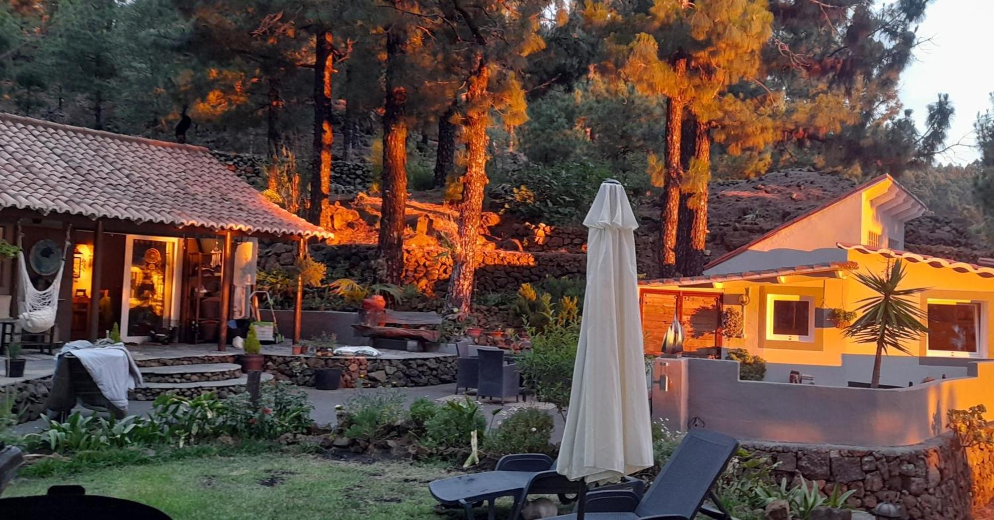 Casa Aguar: Acogedora Casa De Invitados En El Bosque Barrial エクステリア 写真