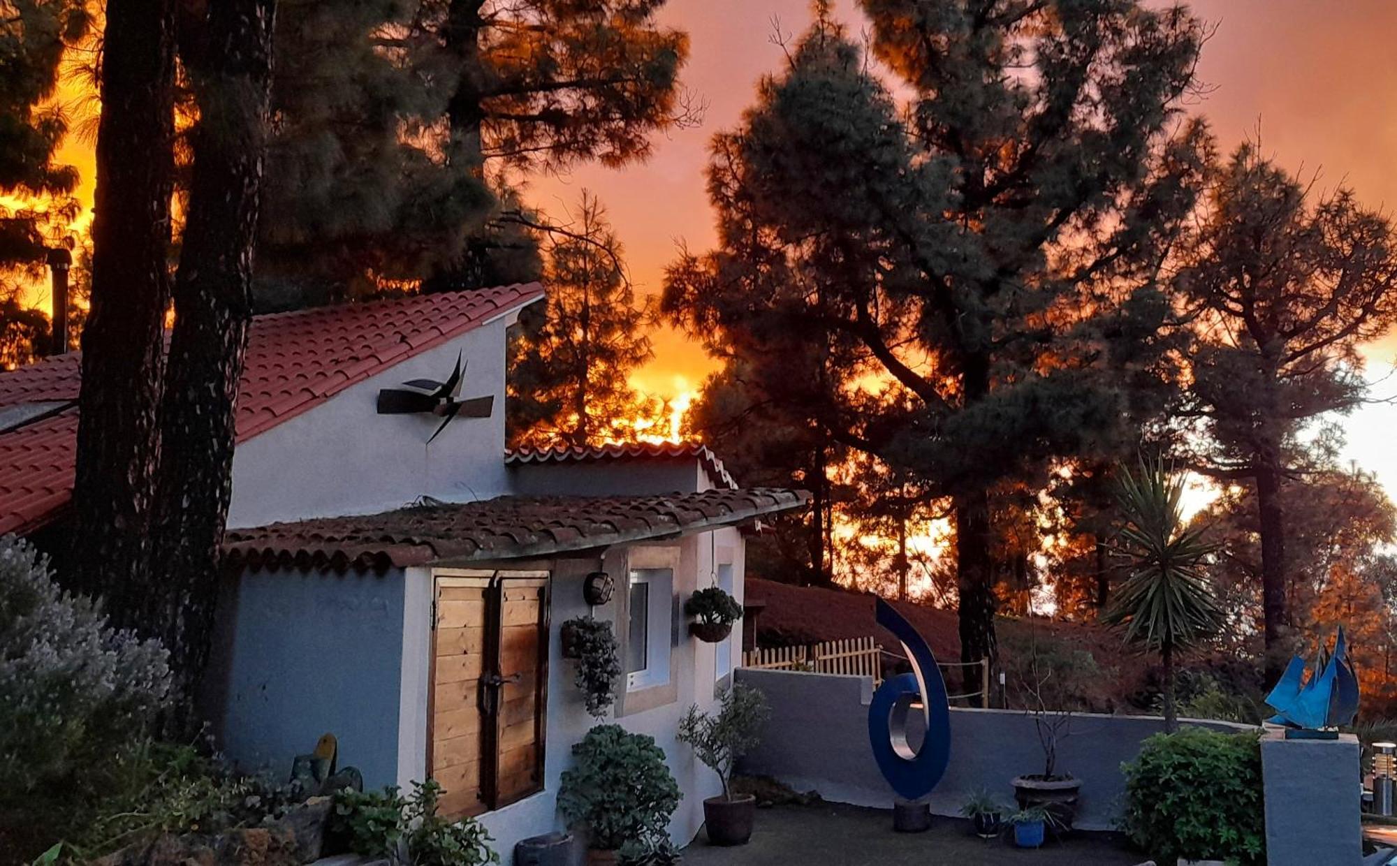 Casa Aguar: Acogedora Casa De Invitados En El Bosque Barrial エクステリア 写真