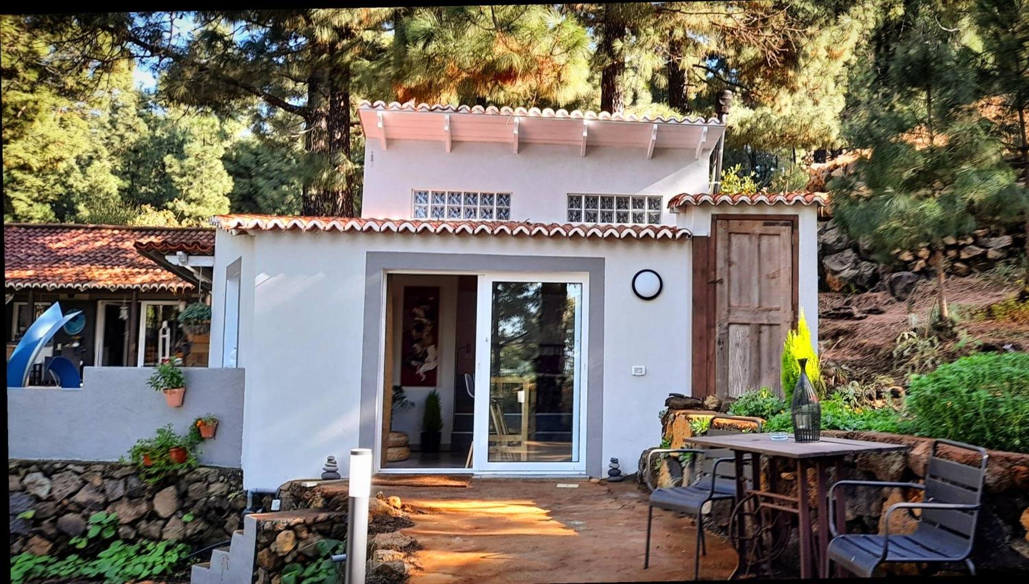 Casa Aguar: Acogedora Casa De Invitados En El Bosque Barrial エクステリア 写真